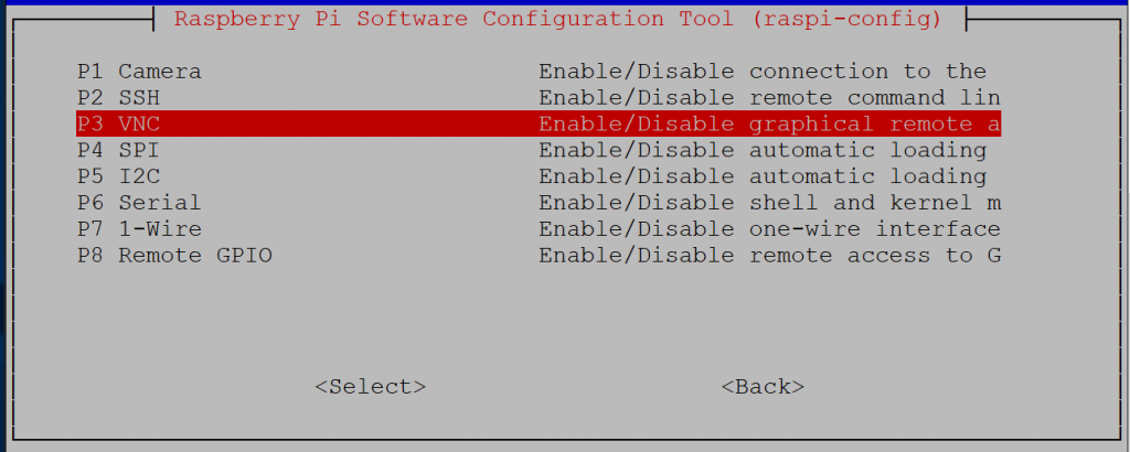 Enable VNC Server options