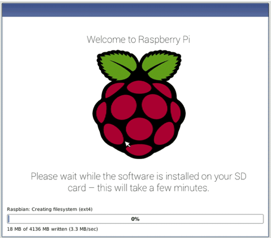 Install the Raspbian with NOOBS